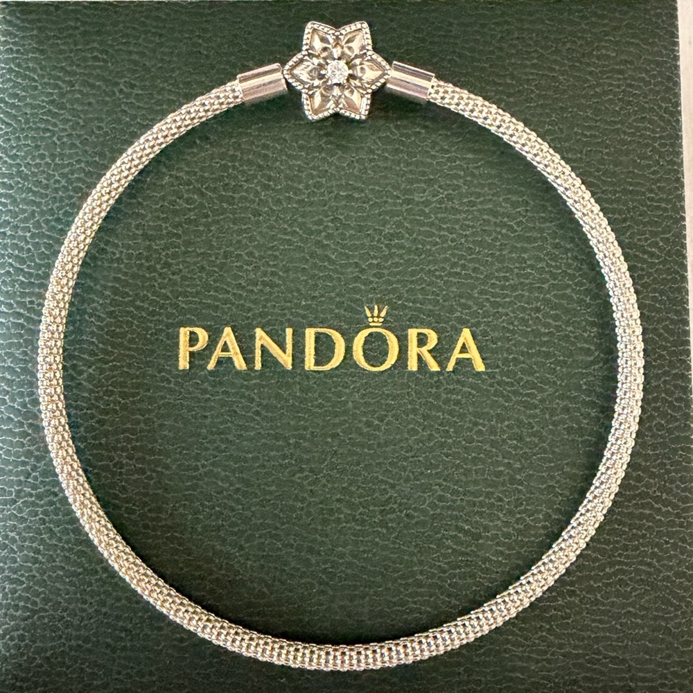 Pandora Mesh Bracelet Limited Edition Snowflake CZ Shine Bright Size 21 cm